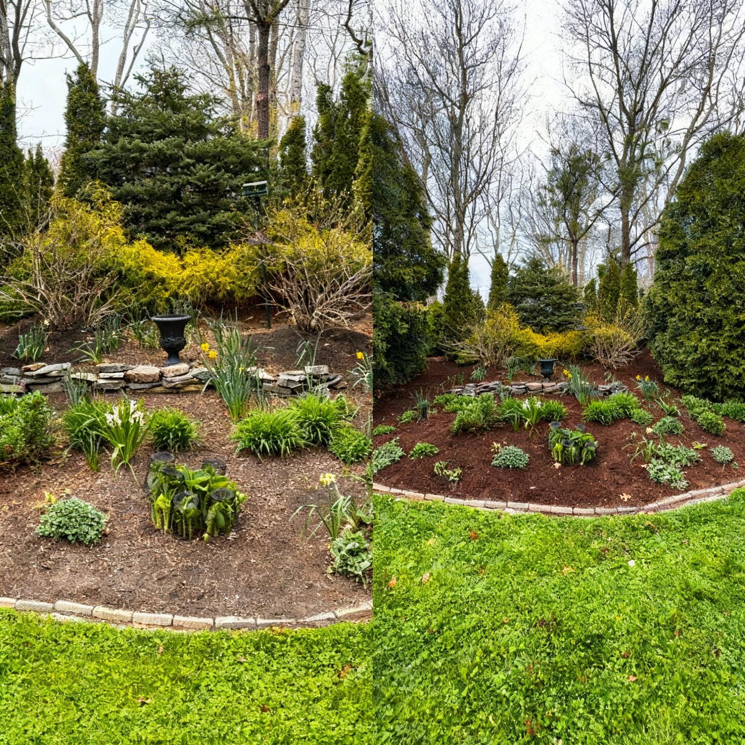 Garden bed before cleanup